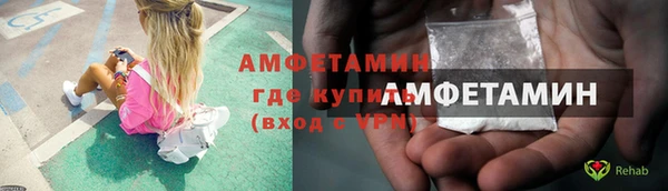 стаф Корсаков