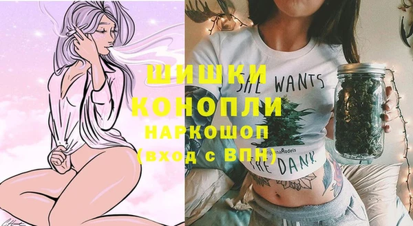 ALPHA PVP Коряжма