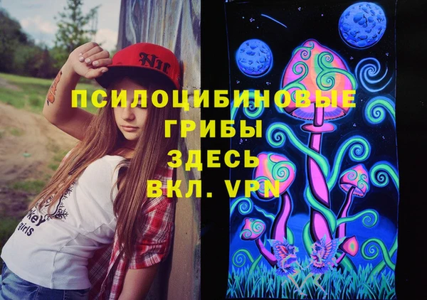 стаф Корсаков