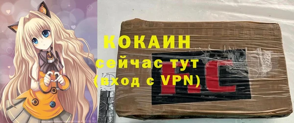 ALPHA PVP Коряжма