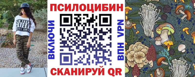Псилоцибиновые грибы мицелий  Купить  Ворсма 